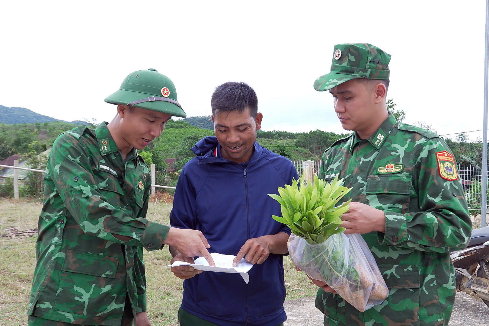 cây keo giống (2)