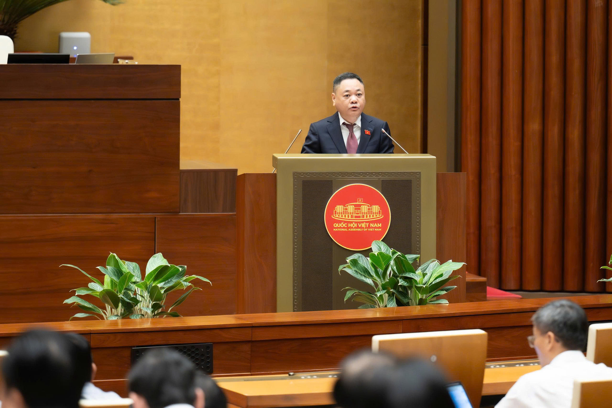 nguyen-ngoc-bao.jpg