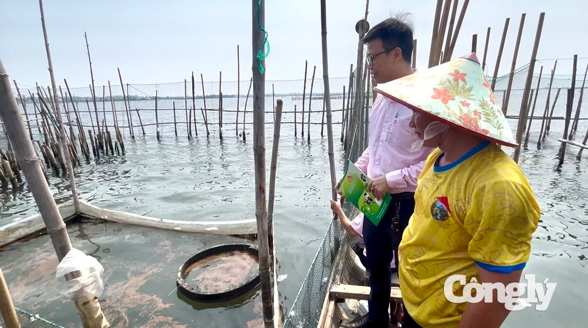 vốn chính sách (4)