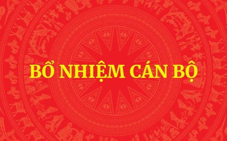 bonhiem-17873019426291081095759-0-0-437-700-crop-1787301963444580756486.jpg