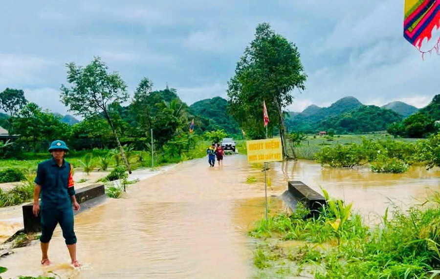 vandu.jpg
