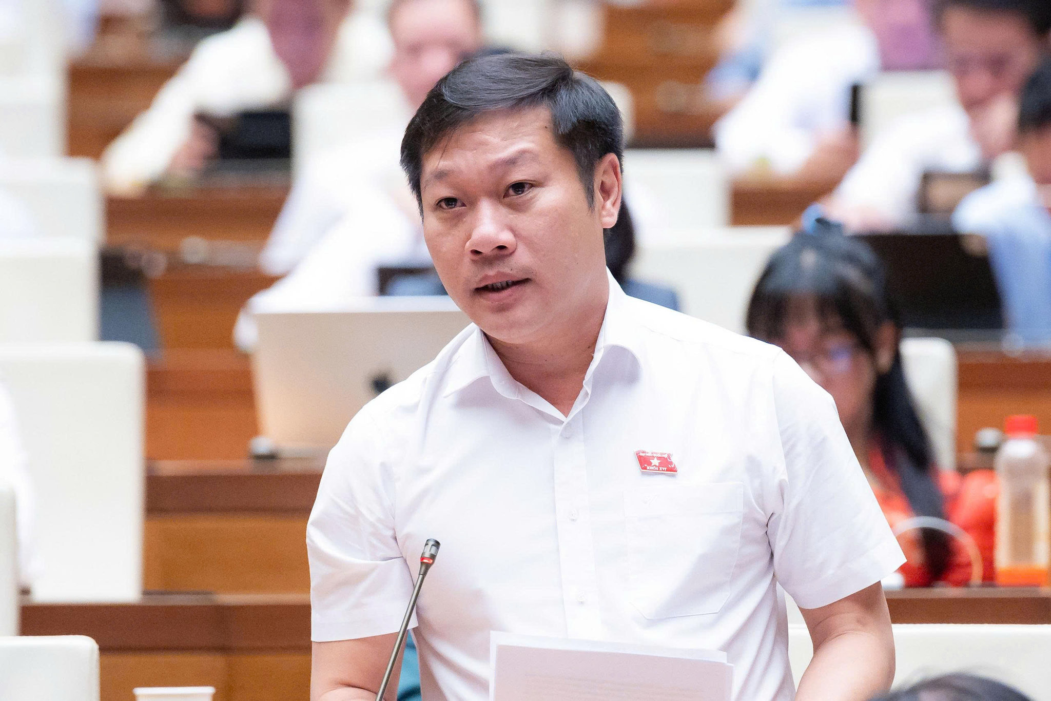 dai-bieu-nguyen-khanh-vu.jpg