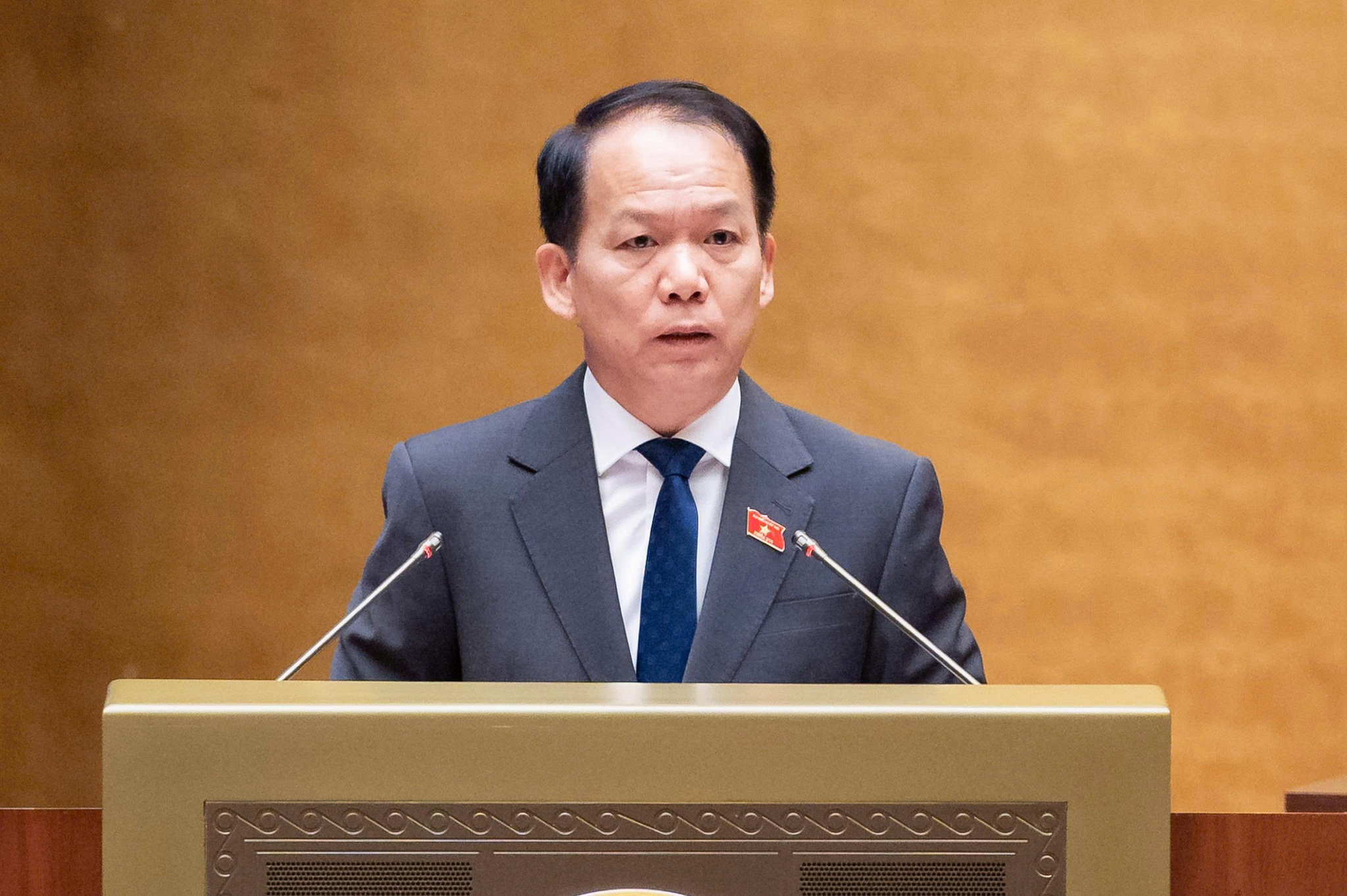 Pháp luật