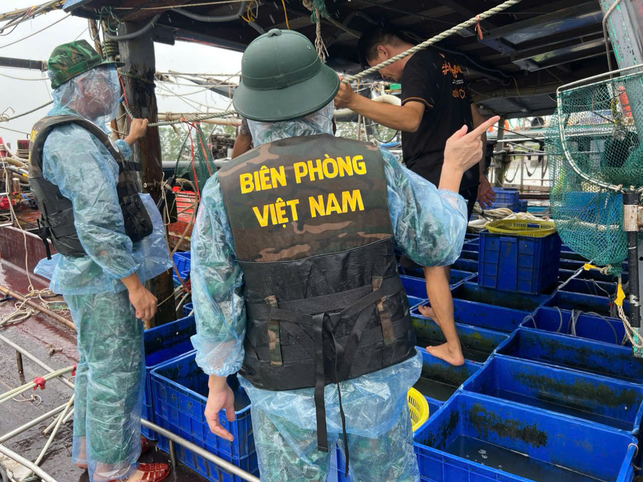 Quảng Ninh