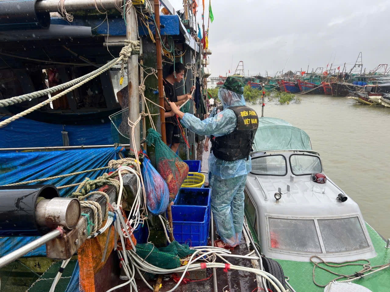 Đảo Trần 3