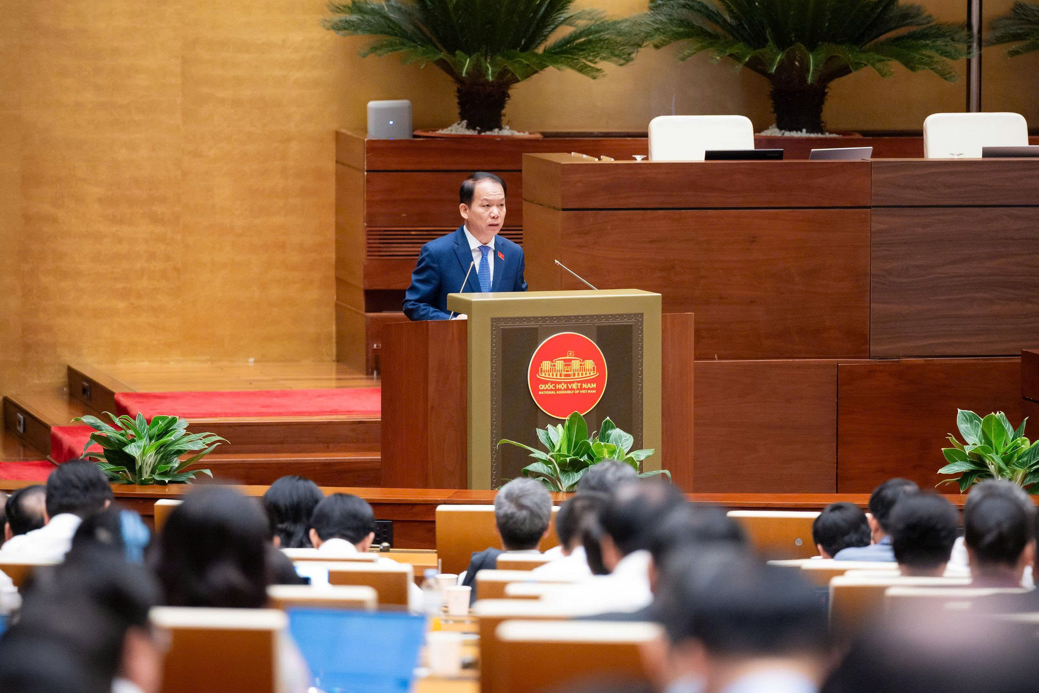 bt-hoang-thanh-tung.jpg