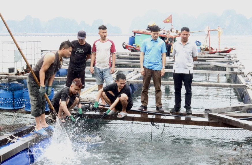 hợp tác xã 1