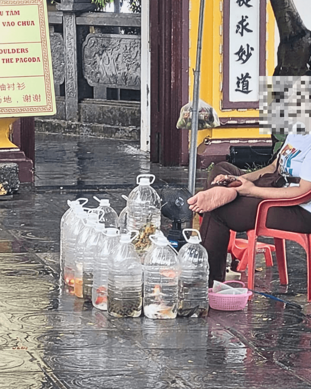 Rùa được bày bán trước cổng chùa (1)
