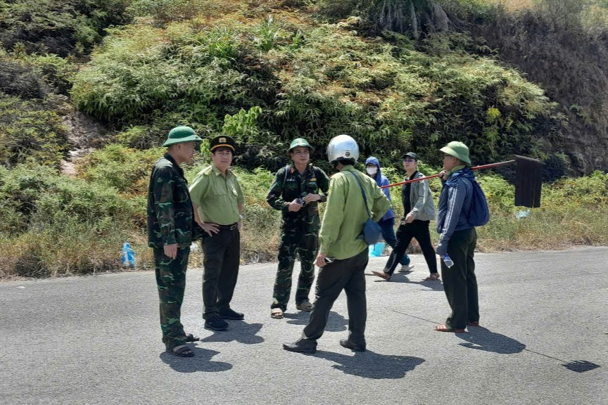 cháy rừng thông (1)