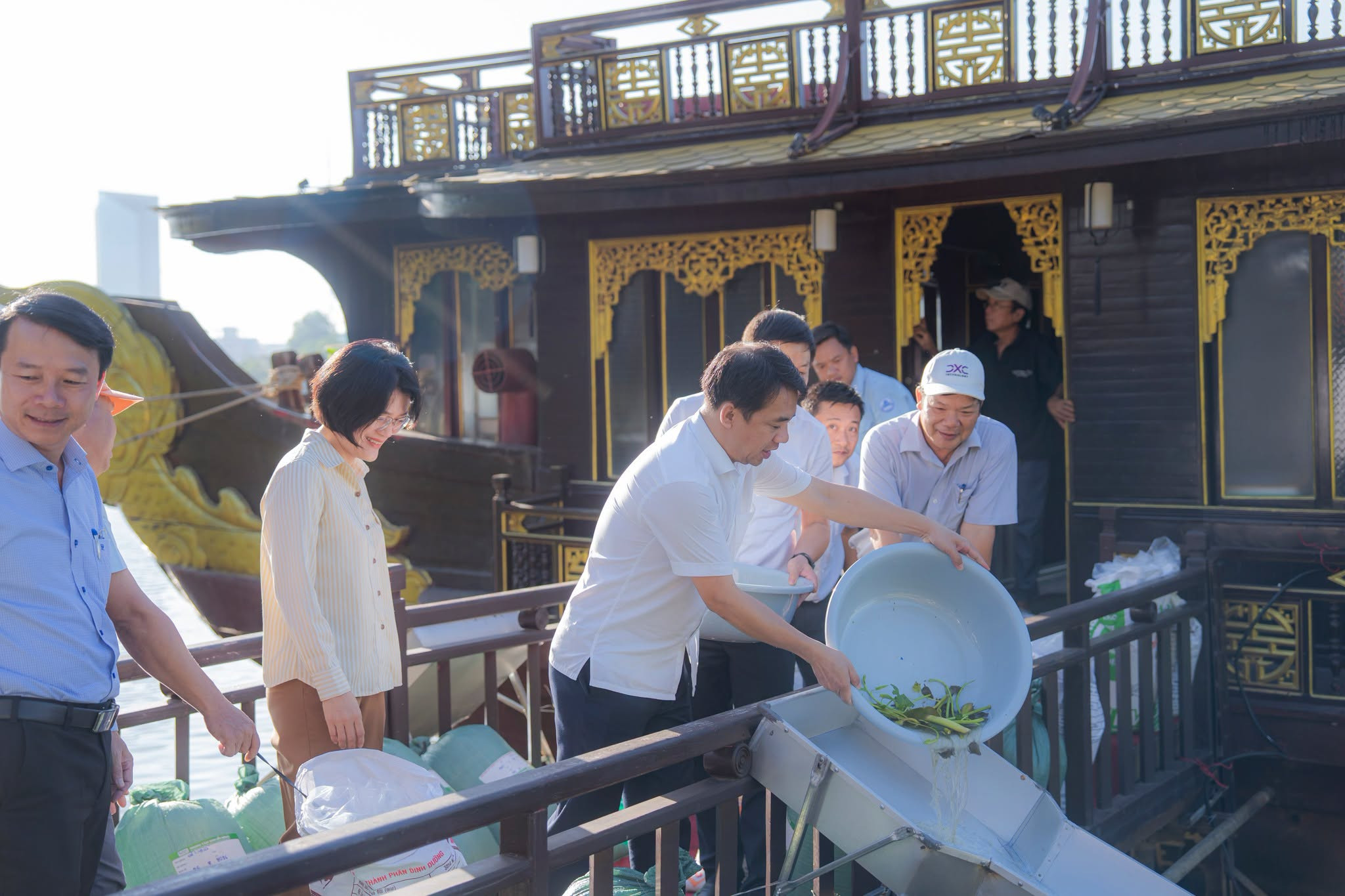 thả cá giống (3)