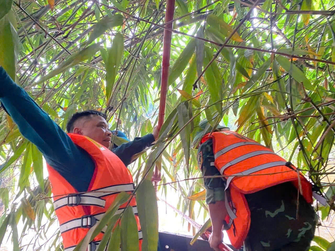Thái Nguyên tìm kiếm (3)