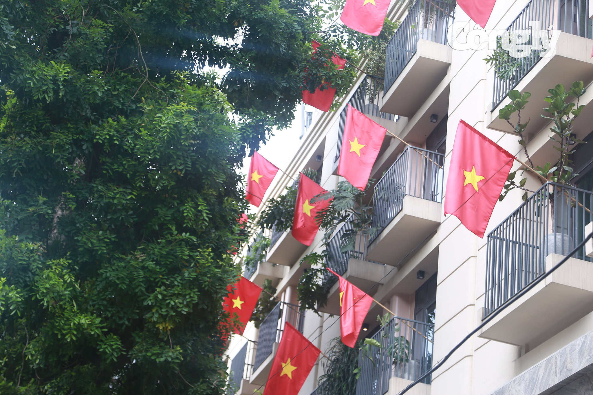 Hà Nội rực sắc đỏ (12)