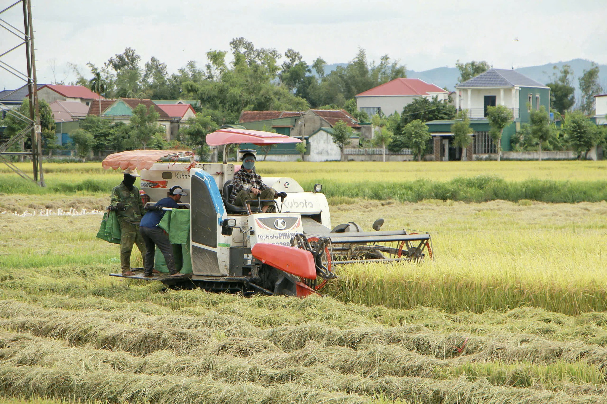 han_hoan_ngay_tet_doc_lap_13.jpg