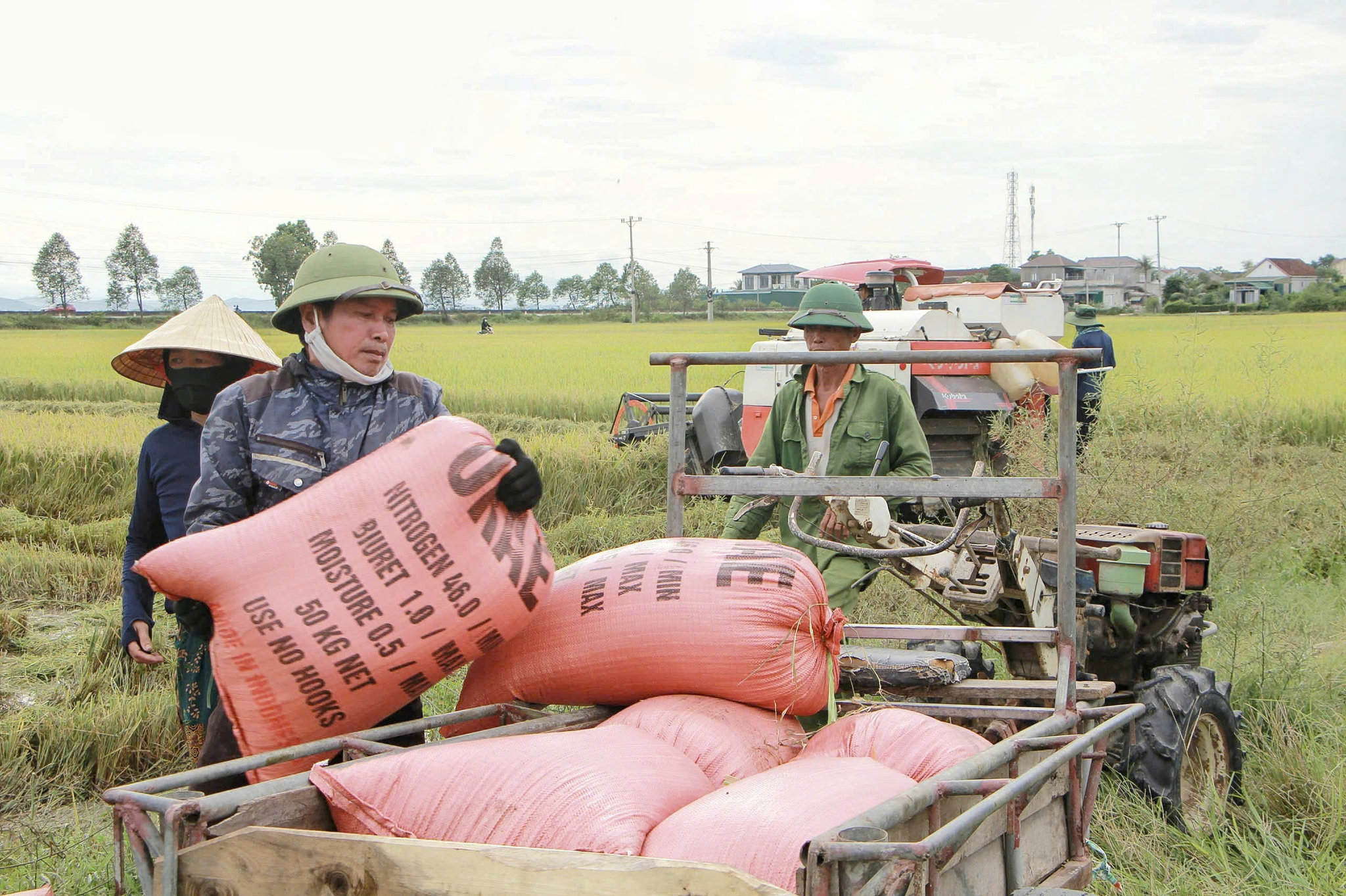 han_hoan_ngay_tet_doc_lap_14.jpg