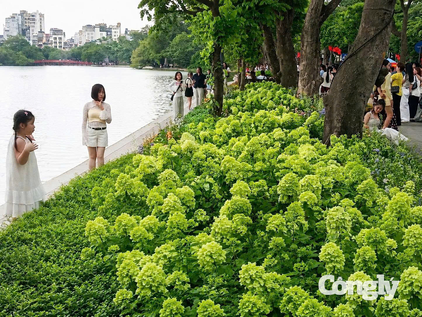 Sắc xanh khiến các em bé lần đầu tiên được chiêm ngưỡng thấy ngạc nhiên. Ảnh: T.Anh