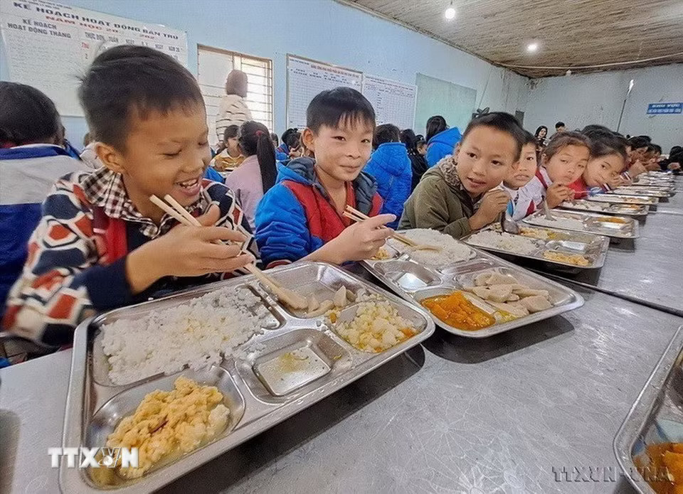 Hệ thống giáo dục được đổi mới theo hướng toàn diện và thực chất. Trong ảnh: Một bữa cơm cho học sinh Trường PTDT bán trú TH&THCS Xín Chải, tỉnh Tuyên Quang. Từ năm học 2025-2026, nhà nước hỗ trợ bữa ăn trưa cho học sinh tiểu học và trung học cơ sở ở vùng khó khăn, ưu tiên ở các xã biên giới miền núi. (Ảnh: Đức Thọ/TTXVN)