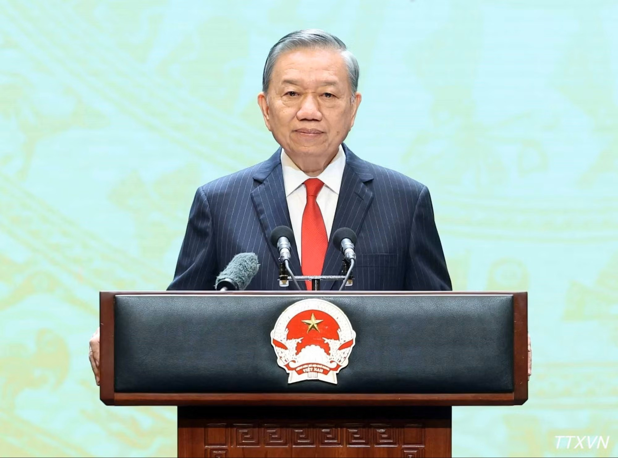 vna-potal-tong-bi-thu-chu-tich-nuoc-to-lam.jpg