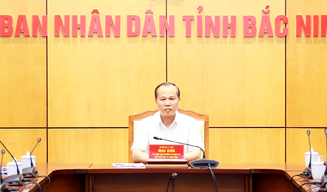 ảnh 4, mai sơn