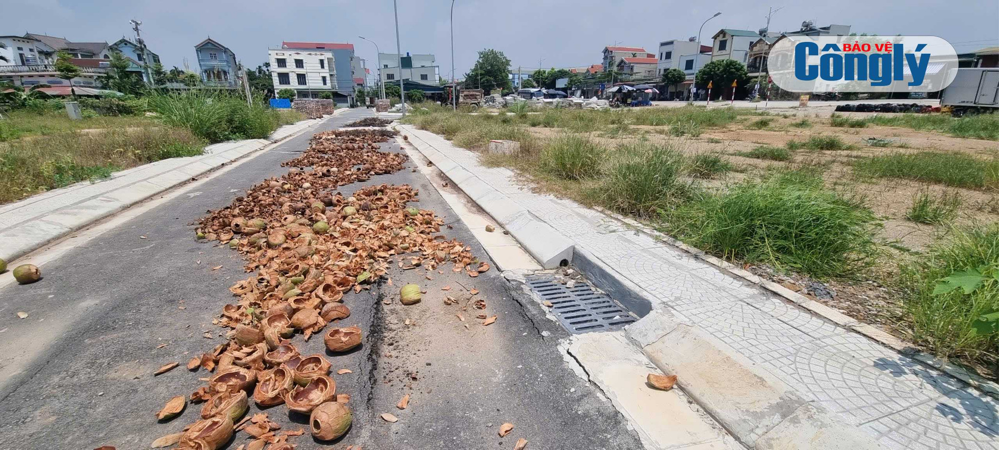 Tổng thể DA
