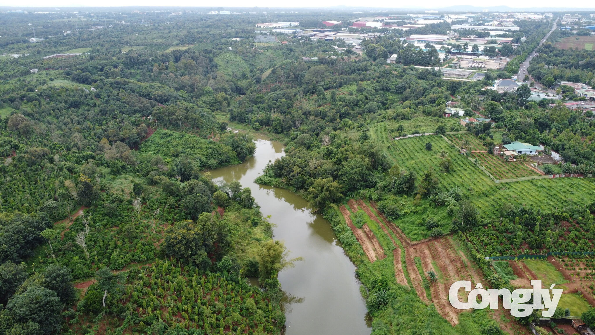 dji_0621.jpg