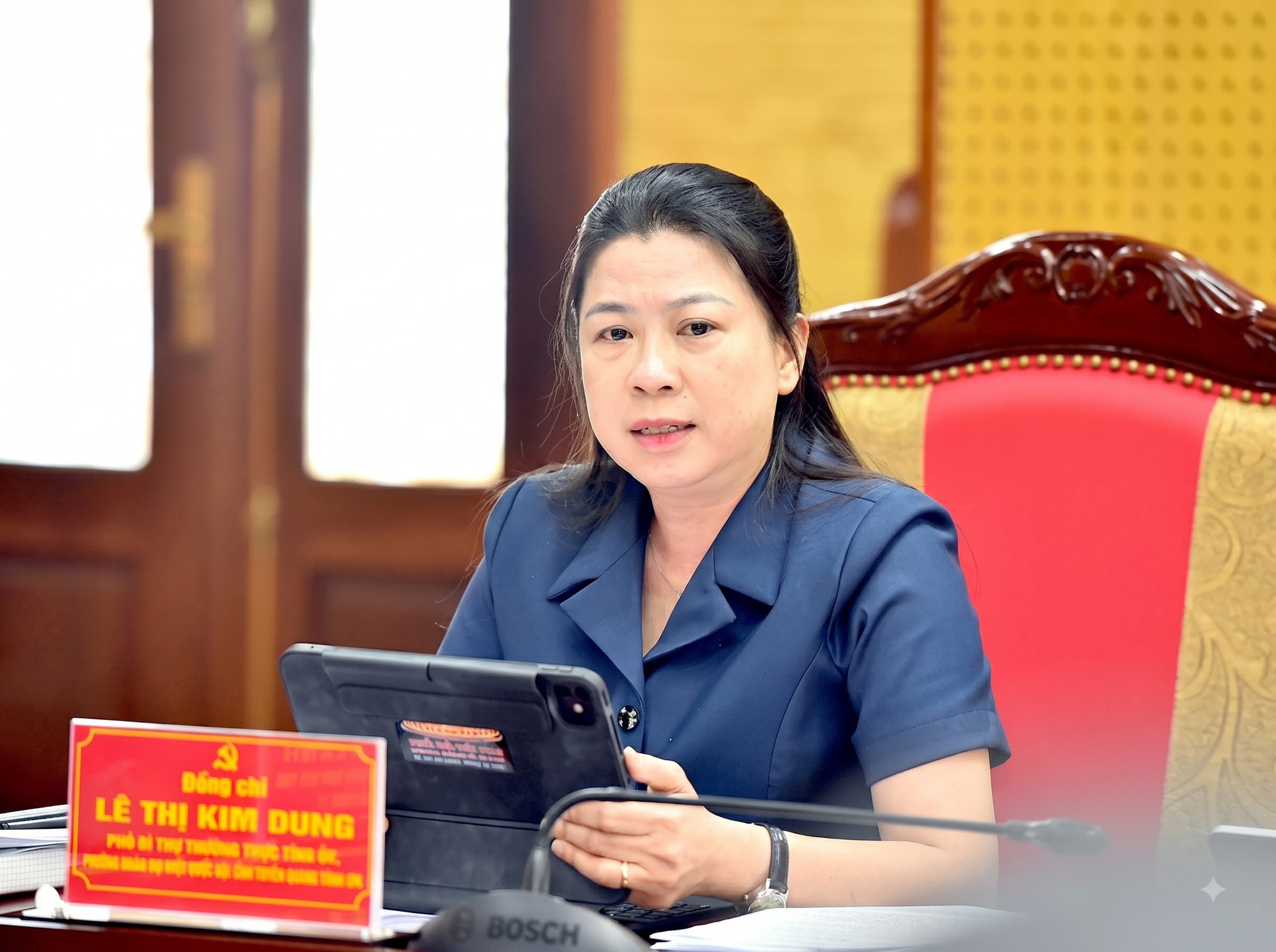 Đồng chí Phó Bí thư Thường trực Tỉnh ủy, Trưởng Đoàn ĐBQH tỉnh Lê Thị Kim Dung phát biểu ý kiến tại cuộc họp..