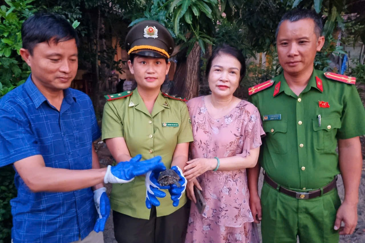 rùa nước ngọt (2)