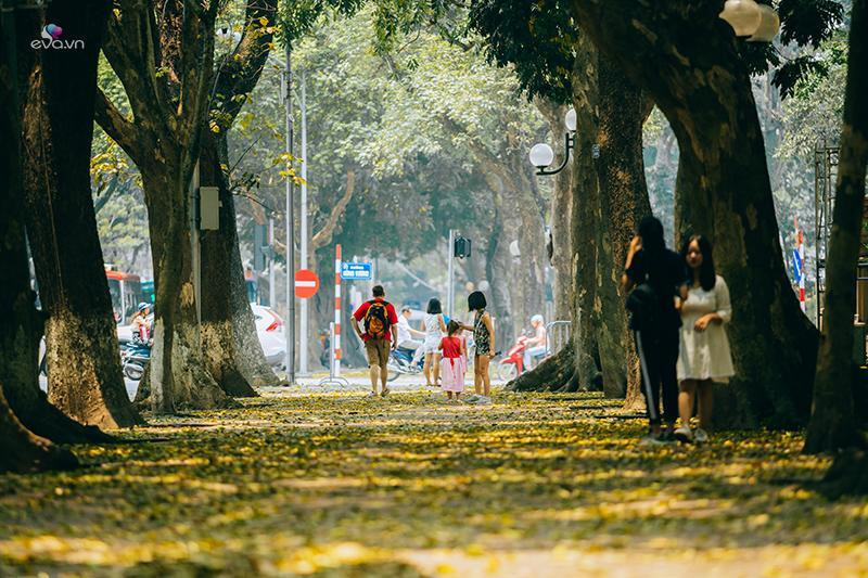 Thu về trên phố Hà Nội Đi đâu, ăn gì để không bỏ lỡ mùa đẹp nhất năm 5