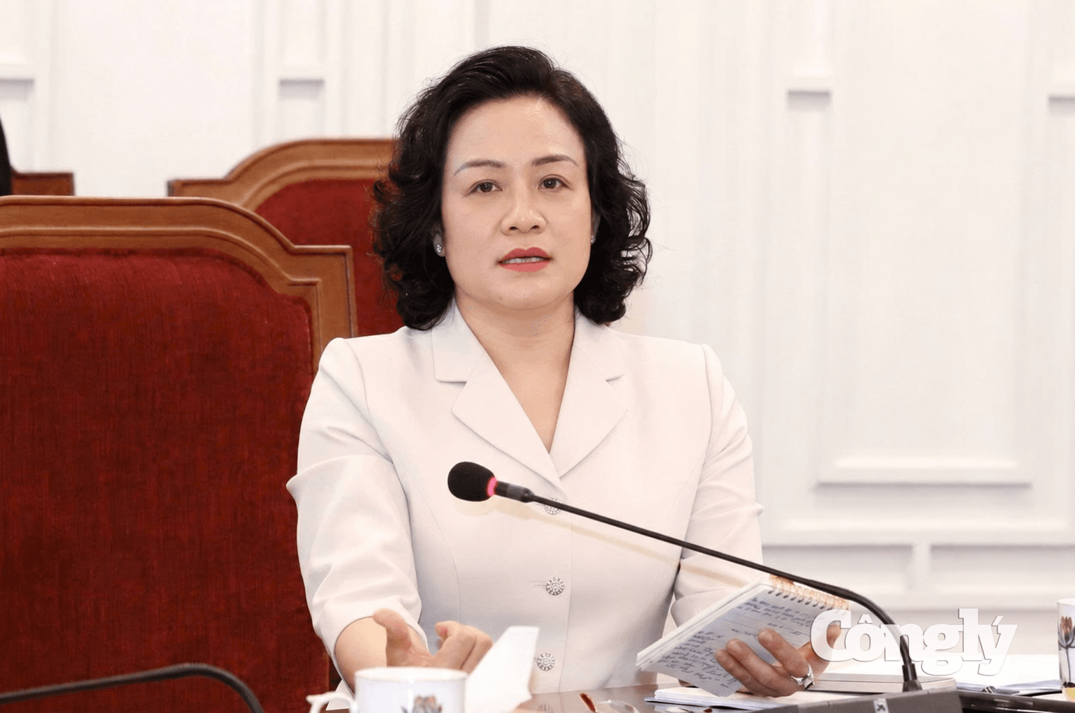 nguyen_hai_tram.png
