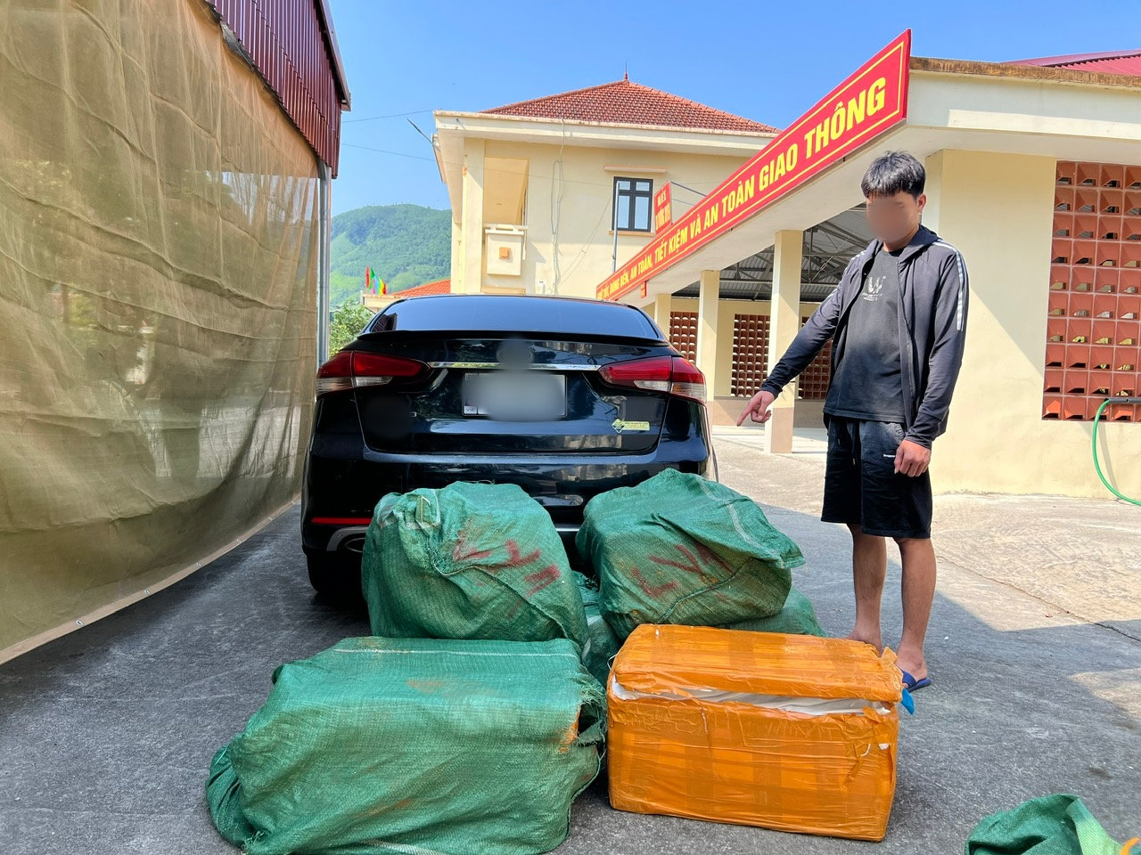 nầm lợn