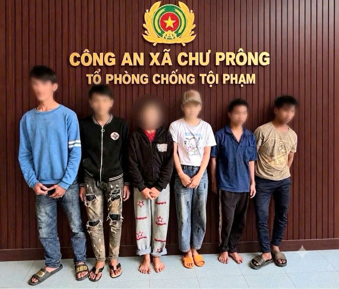 Tóm gọn nhóm thanh, thiếu niên “dàn cảnh” đi nhờ xe để cướp tài sản tại xã Chư Prông, Gia Lai. (Ảnh CA CPR cung cấp).