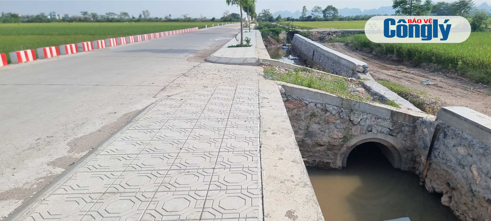 Tổng thể