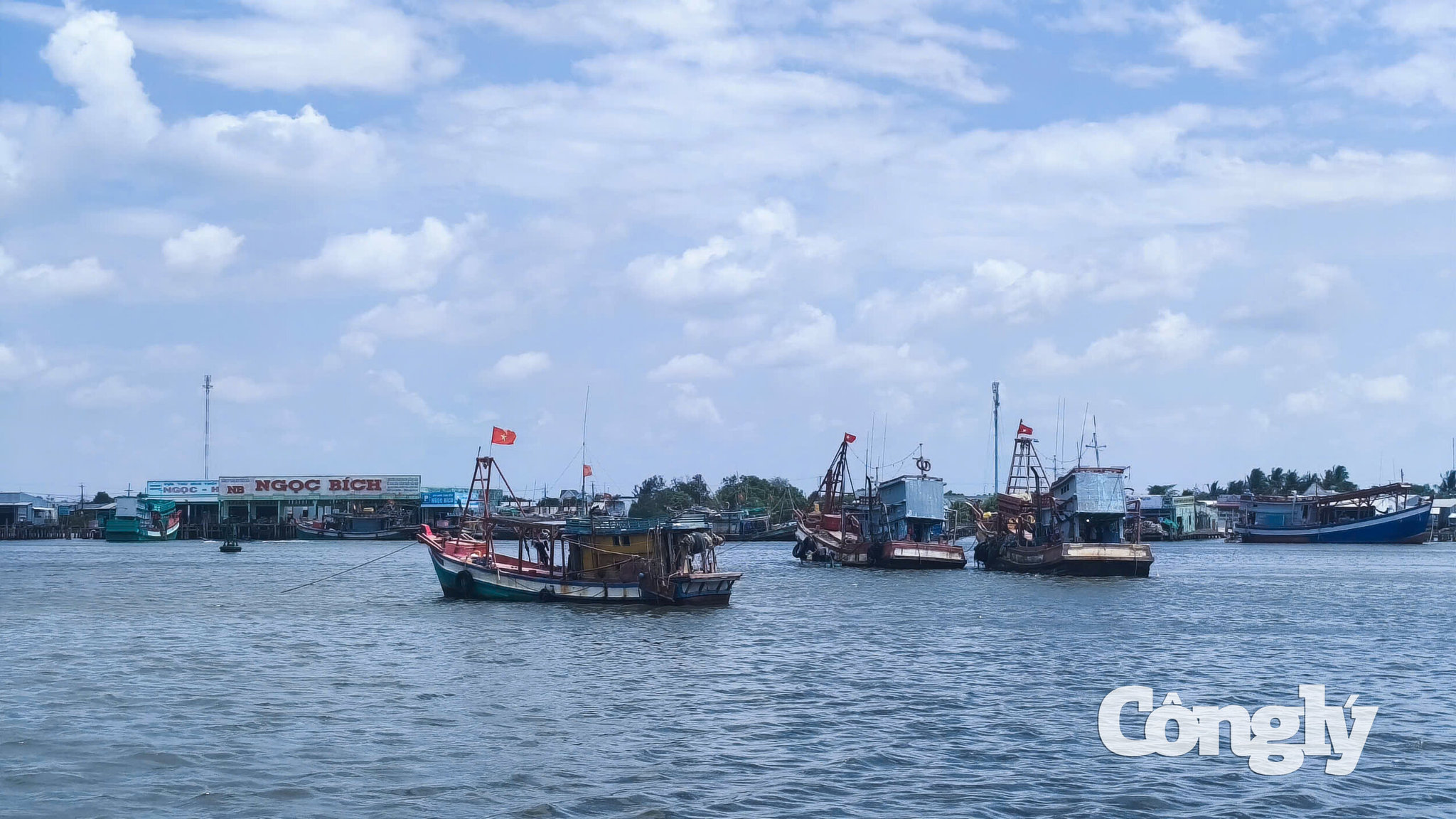 Cà Mau là địa phương có đội tàu khai thác lớn, với hơn 5.100 tàu cá đăng ký.