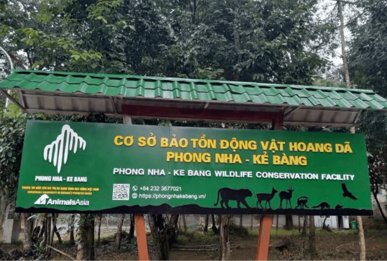 ca-the-ho-dong-duong-01-7ca1f411bea04e6818a41d707a17e1a4.png