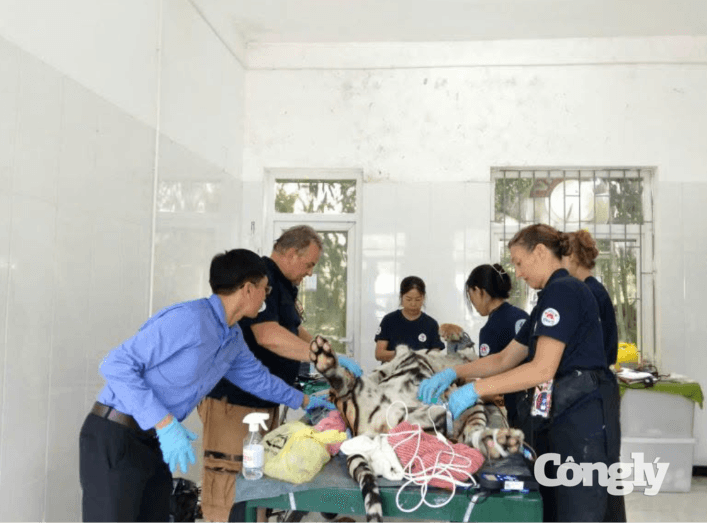 ca-the-ho-dong-duong-03.png
