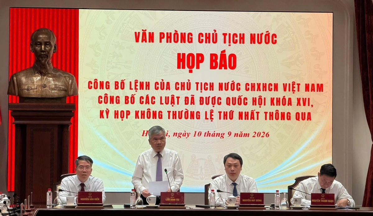 hop-bao-vpctn.jpg
