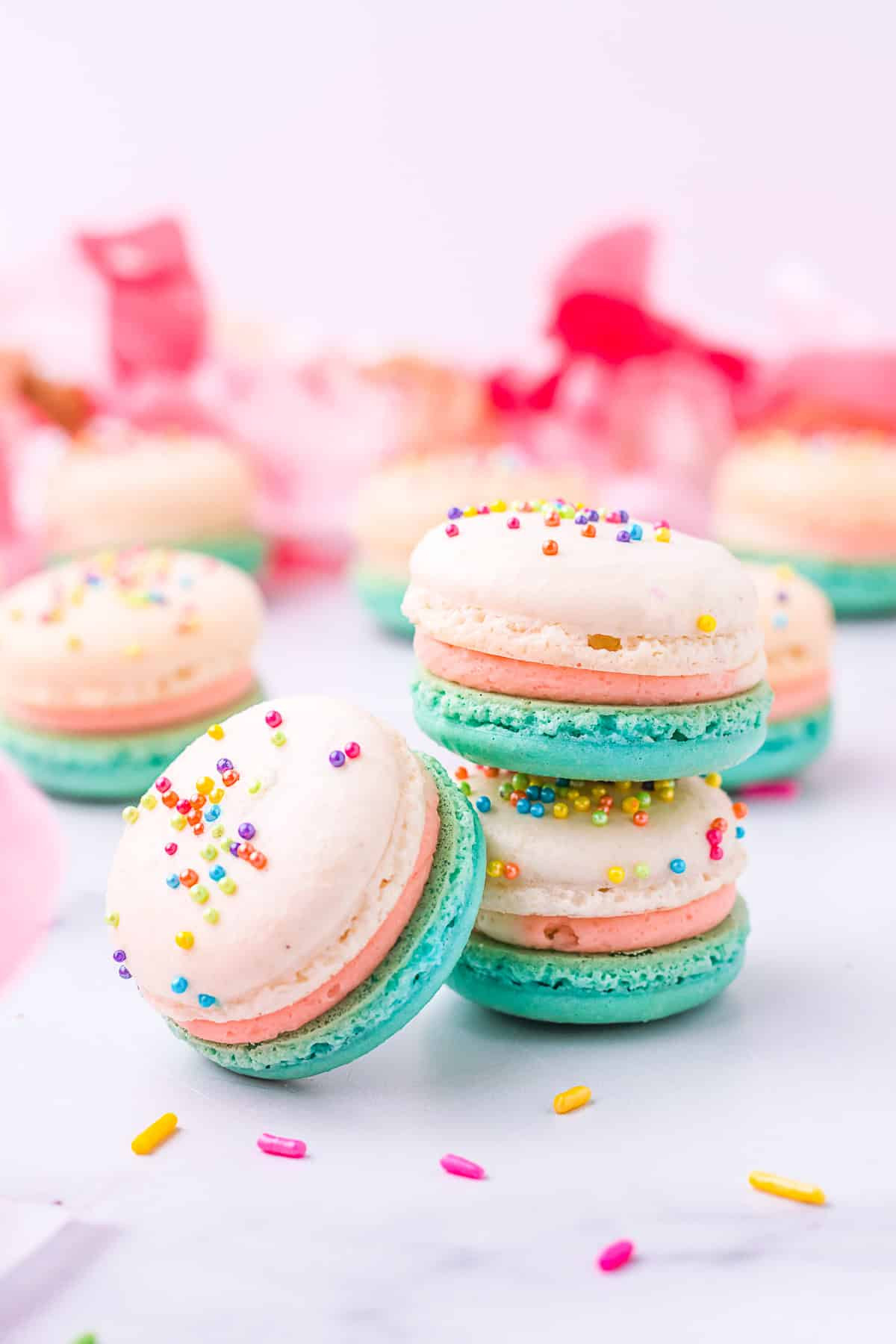 macaron (6)