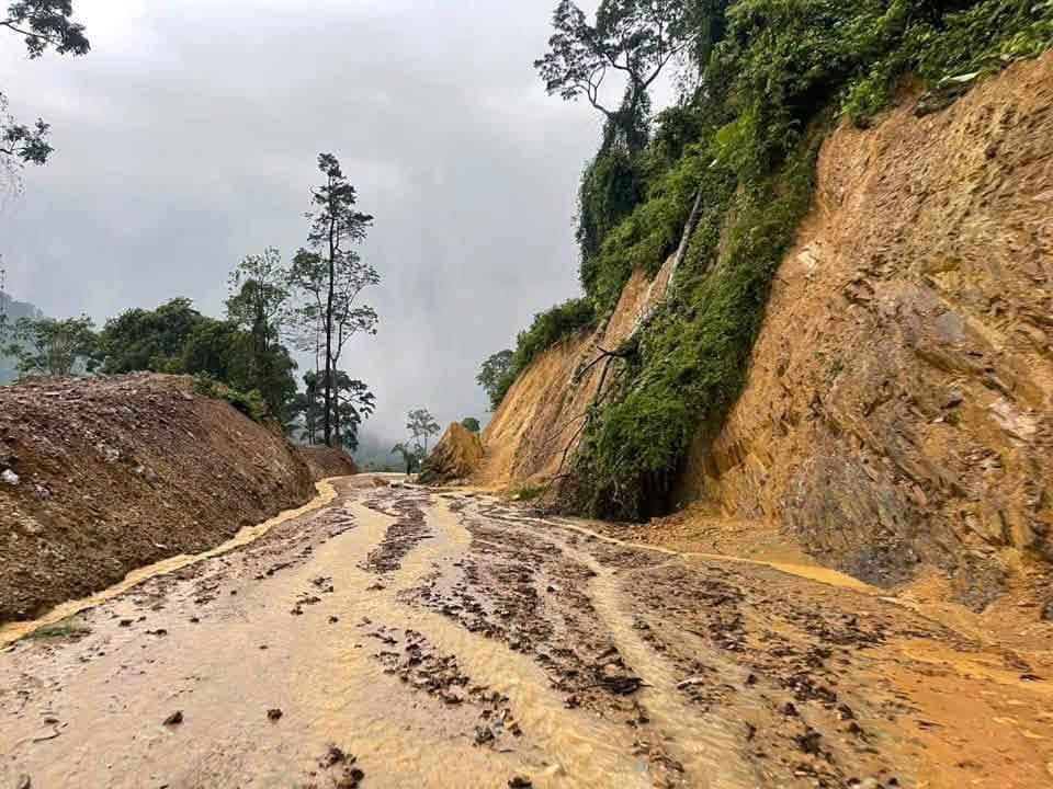 trường sơn