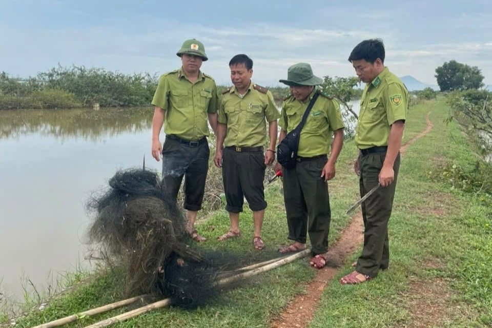 chim trời (1)
