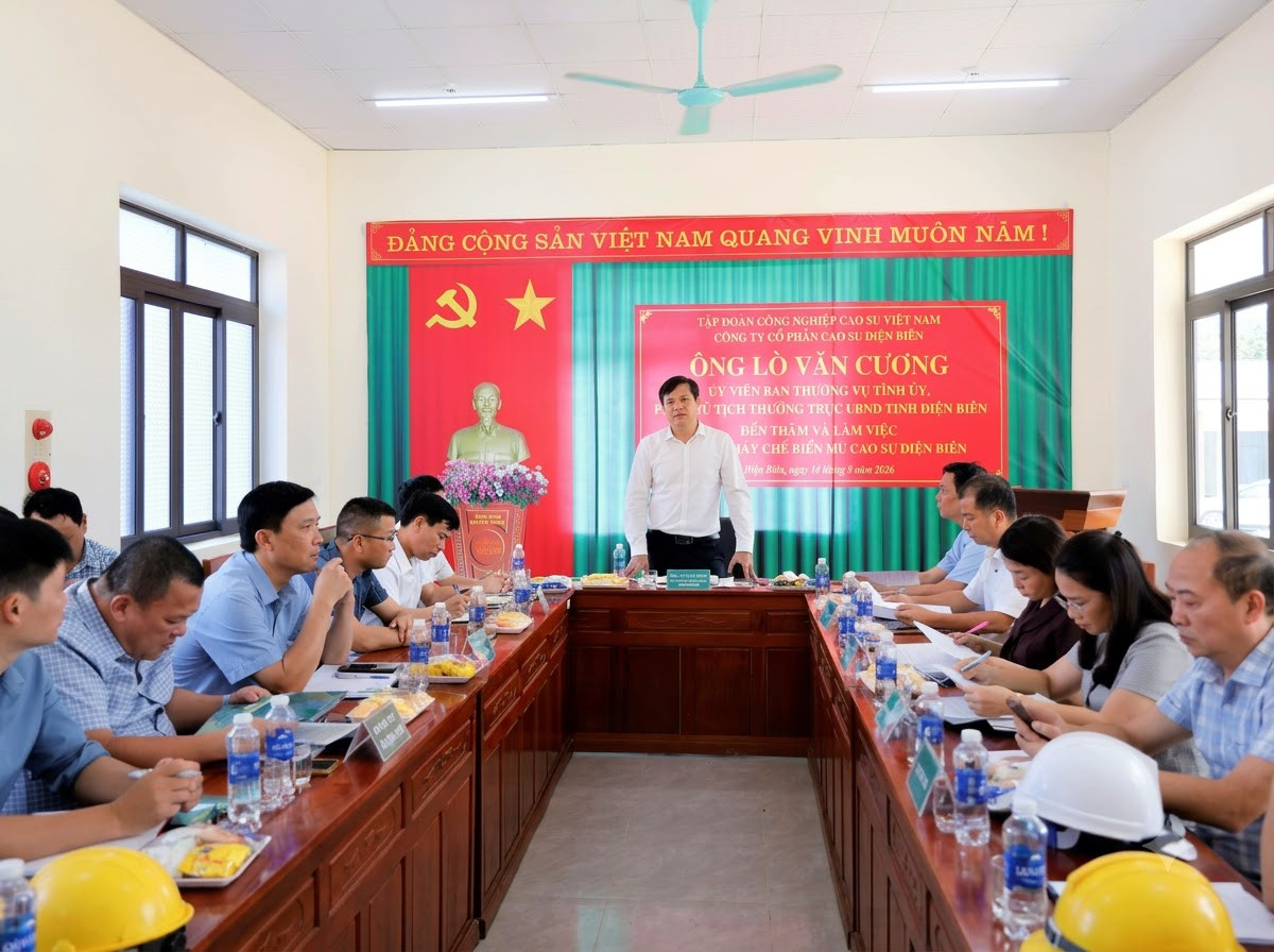 Đoàn công tác UBND tỉnh Điện Biên làm việc với Công ty Cổ phần Cao su Điện Biên