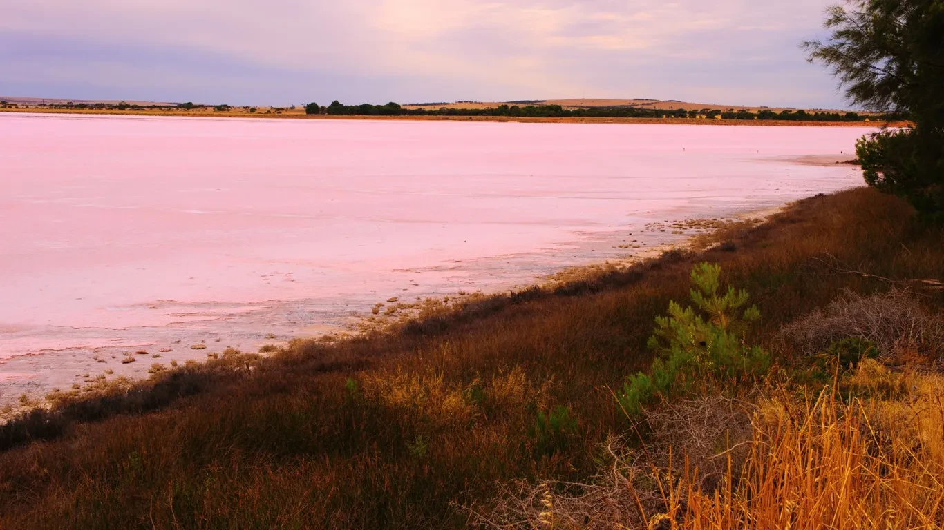 Kati Thanda-Lake Eyre. Ảnh: Hiltonj CC BY-SA 3.0, qua Wikimedia Commons