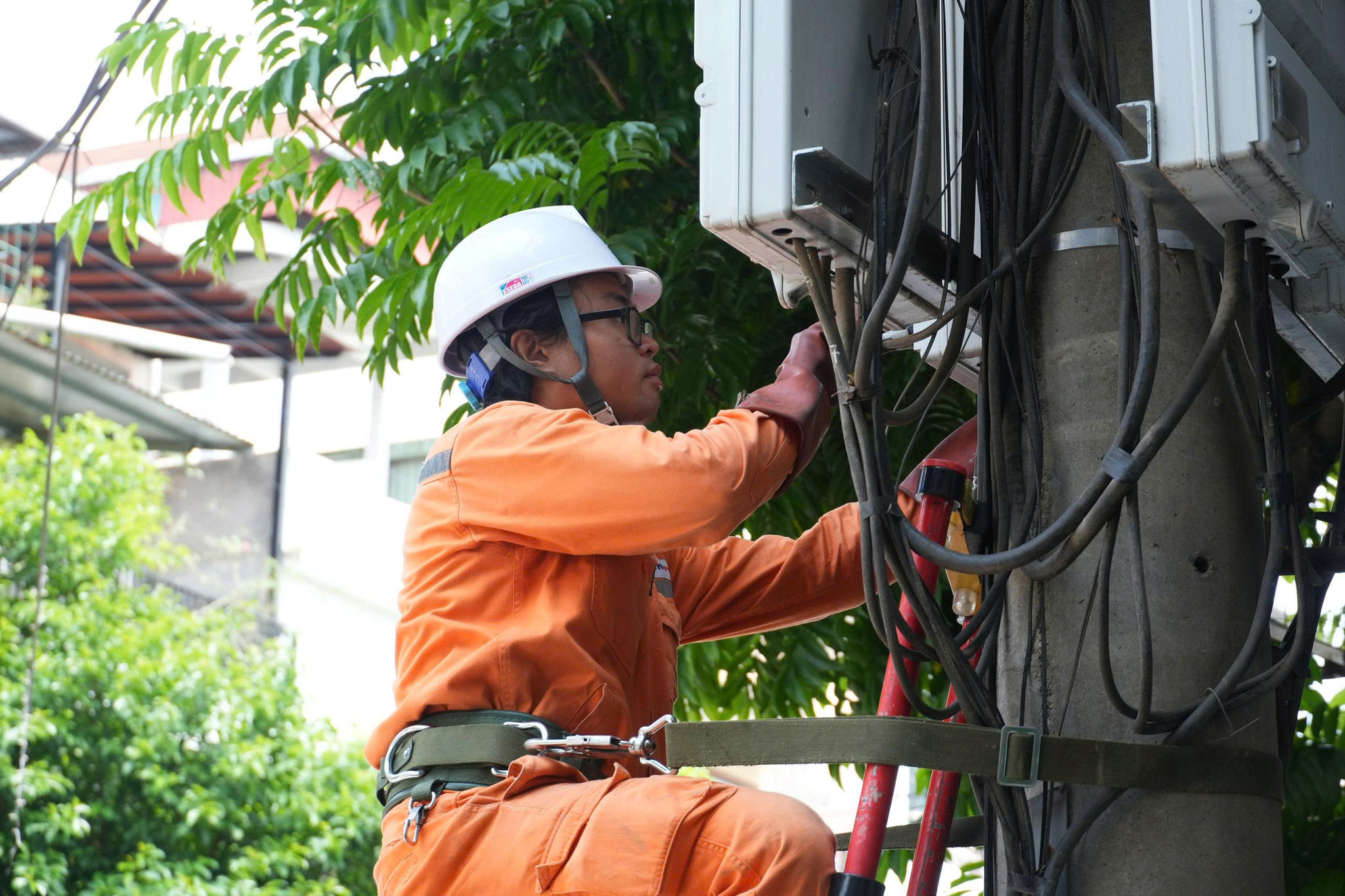 Cán bô Điện Lực Lào Cai