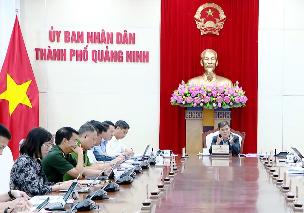 chỉ đạo 