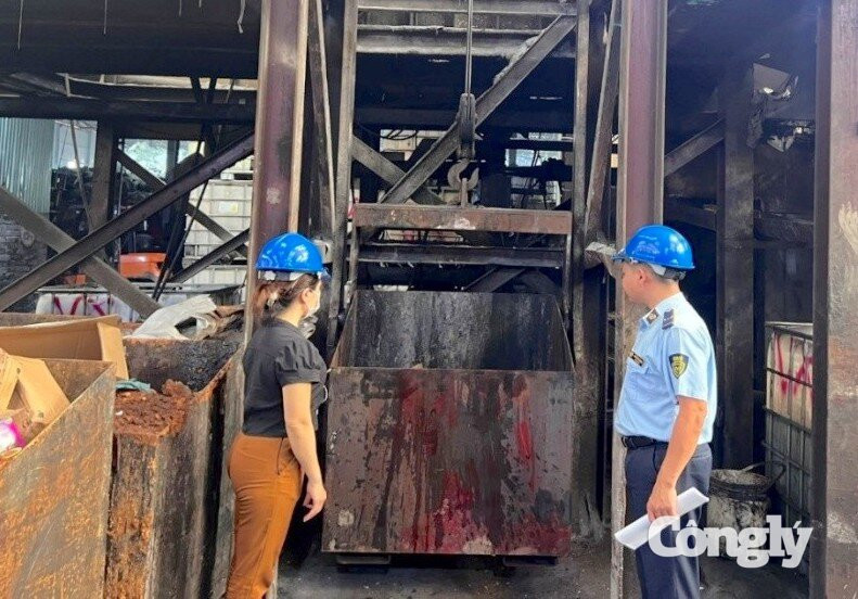 tiêu hủy thịt heo đông lạnh không rõ nguồn gốc