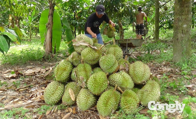 saurieng_khanhson_02.jpg
