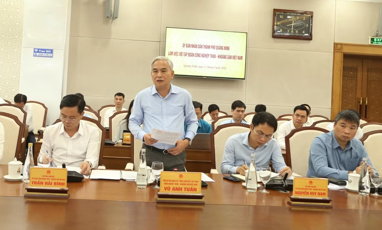Tập đoàn Than Khoáng sản 