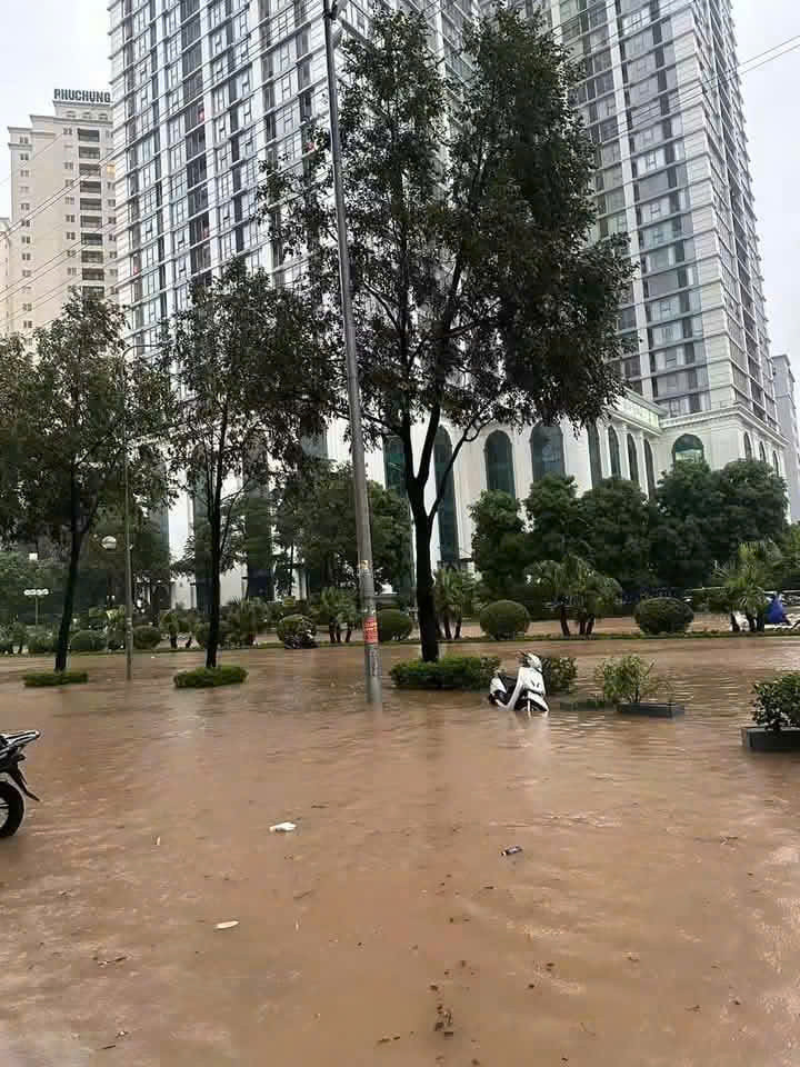 Tố Hữu
