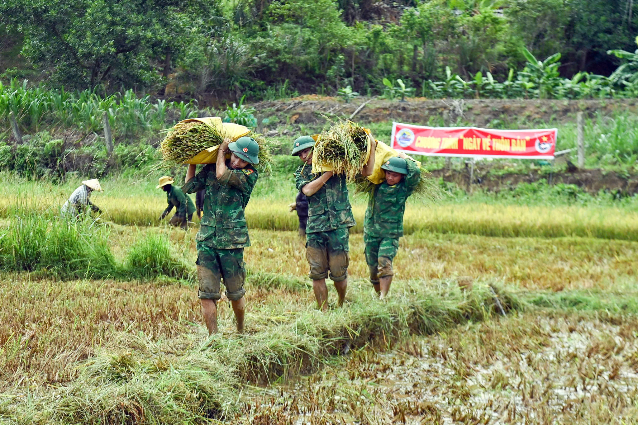 thôn bản (1)