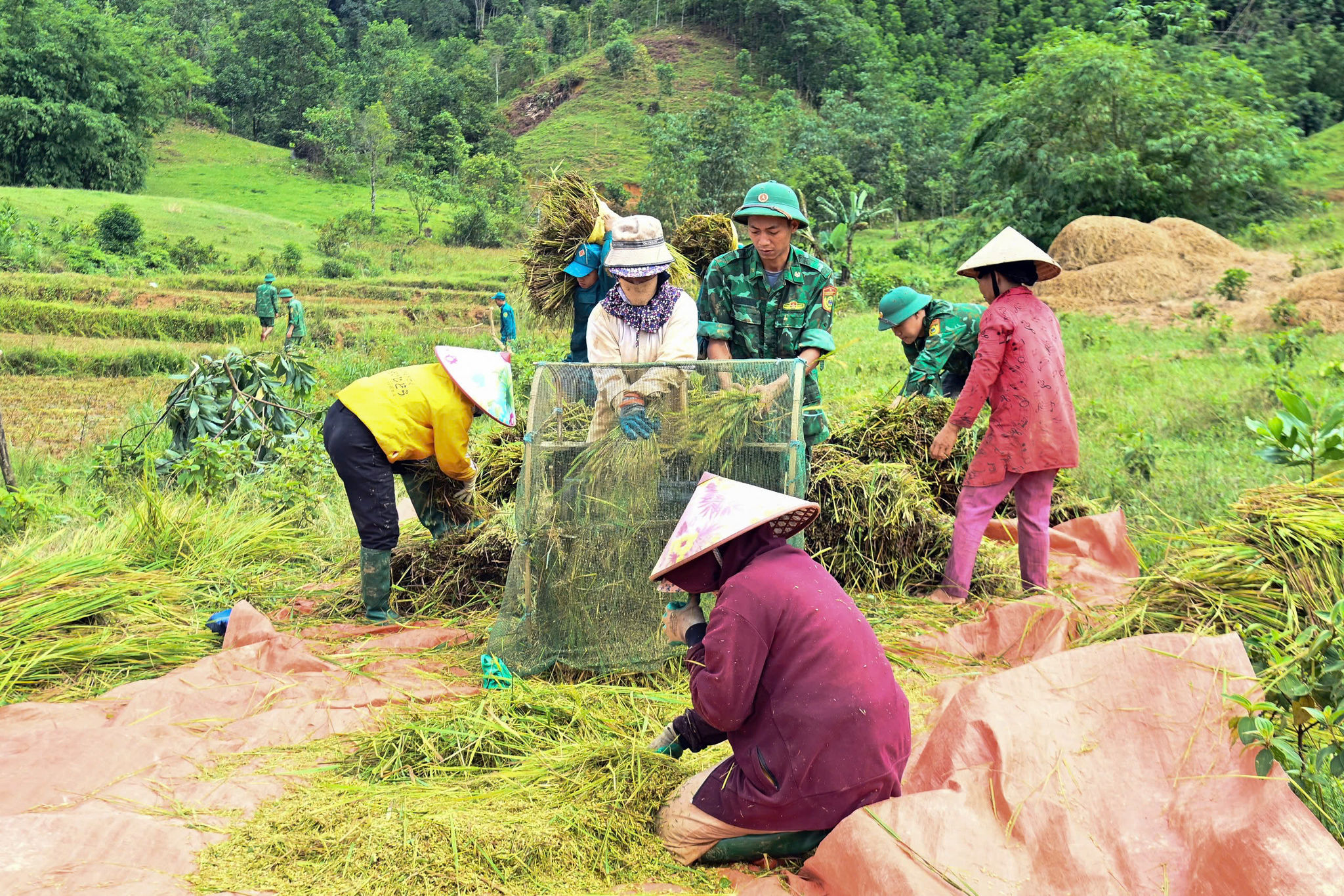 thôn bản (2)