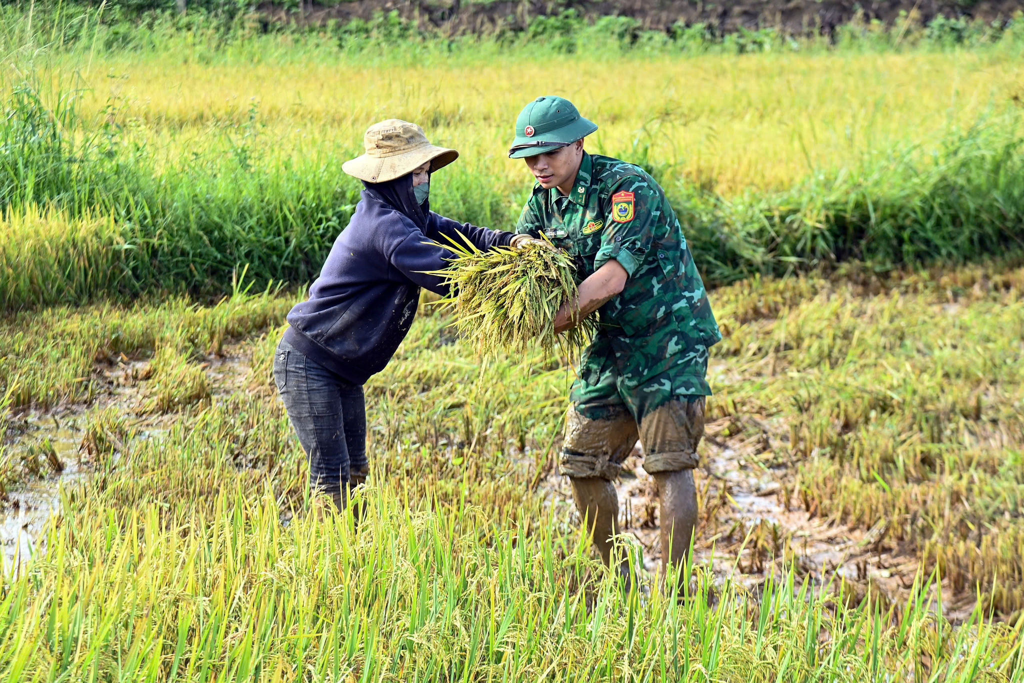 thôn bản (4)