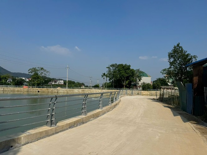picture2.jpg